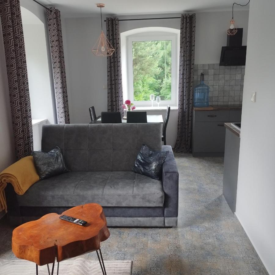 Apartamenty U Golebiewskich Stara Kamienica エクステリア 写真