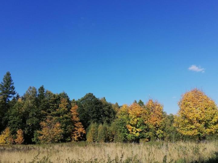 Apartamenty U Golebiewskich Stara Kamienica エクステリア 写真